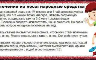 Кровотечение из носа причины у взрослых лечение народными средствами