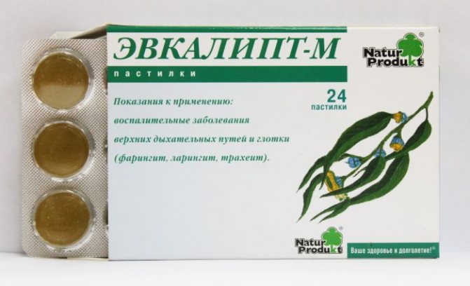 эвкалипт от кашля
