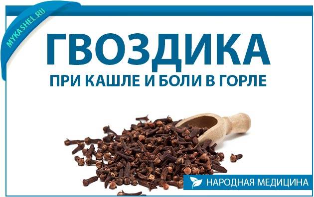 Гвоздика при кашле и боли в горле