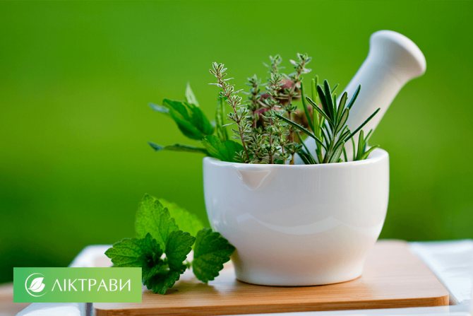 Лечение гайморита в домашних условиях