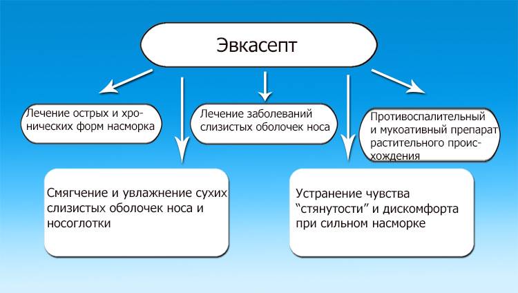 масляные капли в нос названия