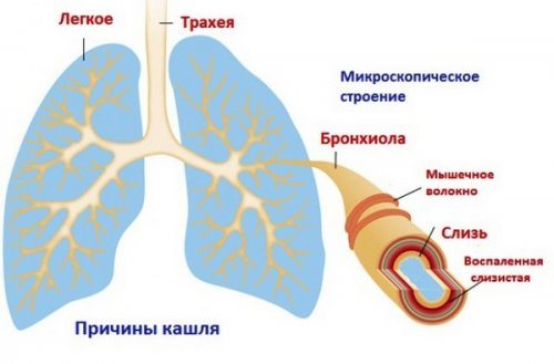 Причины появления кашля