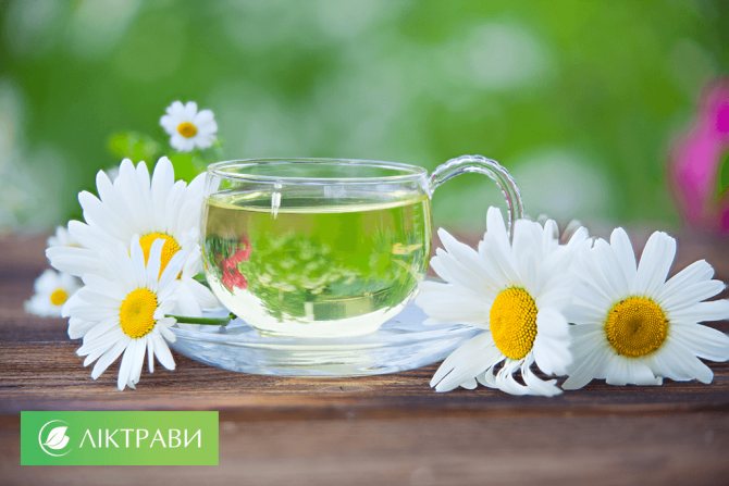 промывание носа ромашкой
