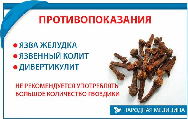 Противопоказания к приему гвоздики