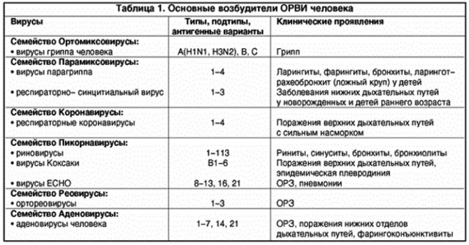 Респираторные заболевания. Что это такое у детей, взрослых, список, профилактика, принципы оздоровления